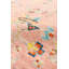 Oriental Area Rug in Salmon