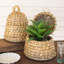 Joss & Main Clove Wicker Storage Bin