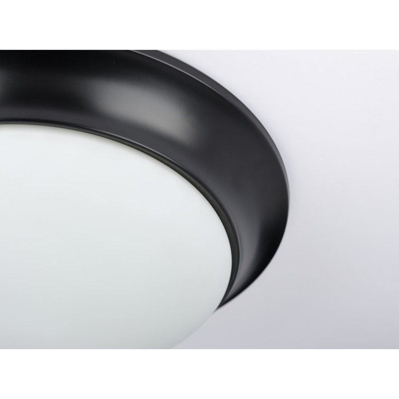 Stoutland Glass Semi Flush Mount, Black