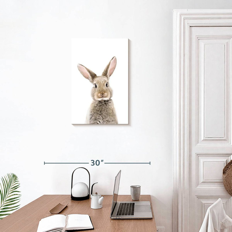 Brampt Baby Bunny, 24" H x 16" W