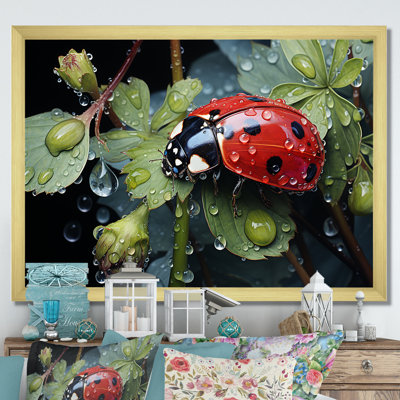 " Rainy Ladybugs Lullaby "
