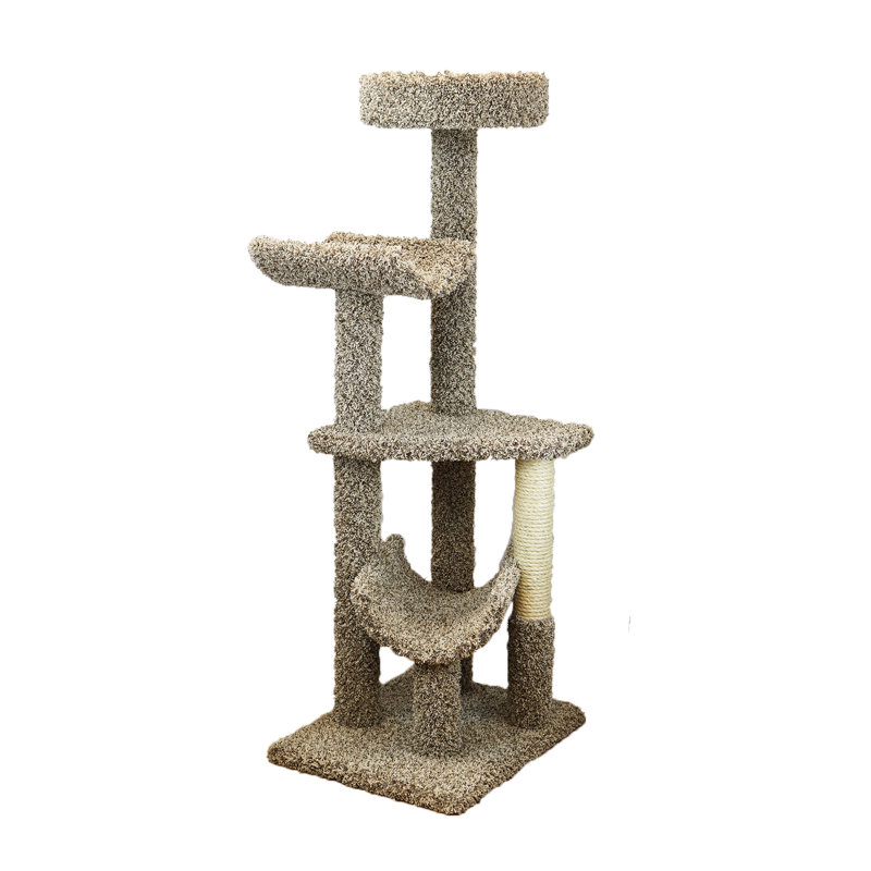 Habitation pour chat Shawn