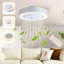 Ceiling Fan with LED Lights