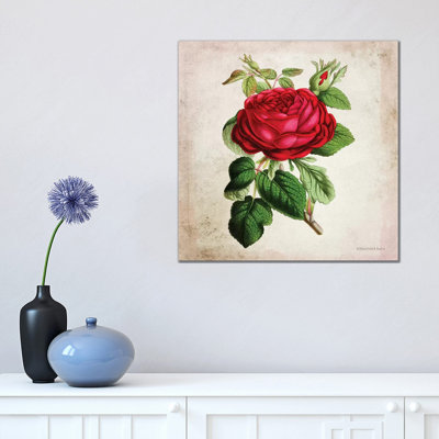 Vintage Red Rose 1 Piece Wrapped Canvas Wall Art