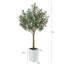 Adcock UV Resistant Artificial Olive Tree for Indoor & Outdoor Decor, Large Plastic Base with Pebbles-1033404745-1033404744