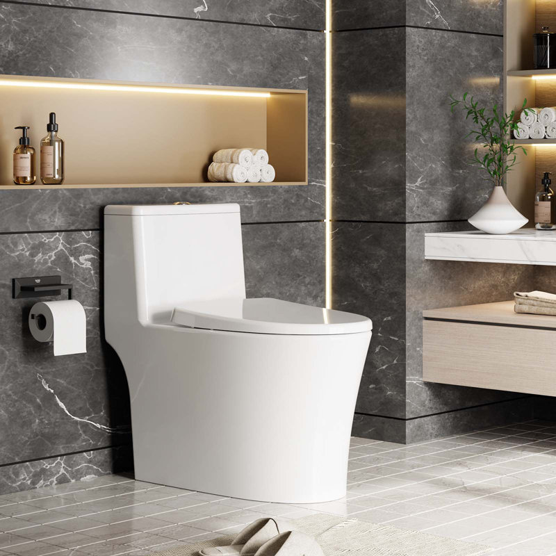 Toilette allongée une pièce avec siège à fermeture en douceur, céramique et PP, blanc, plusieurs styles