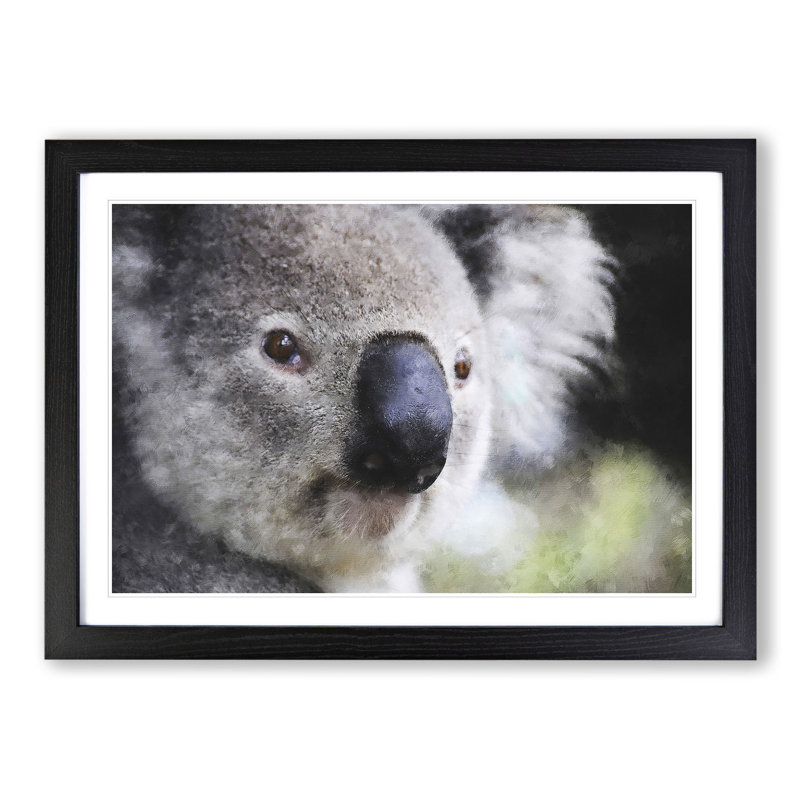 Koala Bear Vol.2 - Framed Print, Black Framed, 27cm H x 36cm W x 2cm D