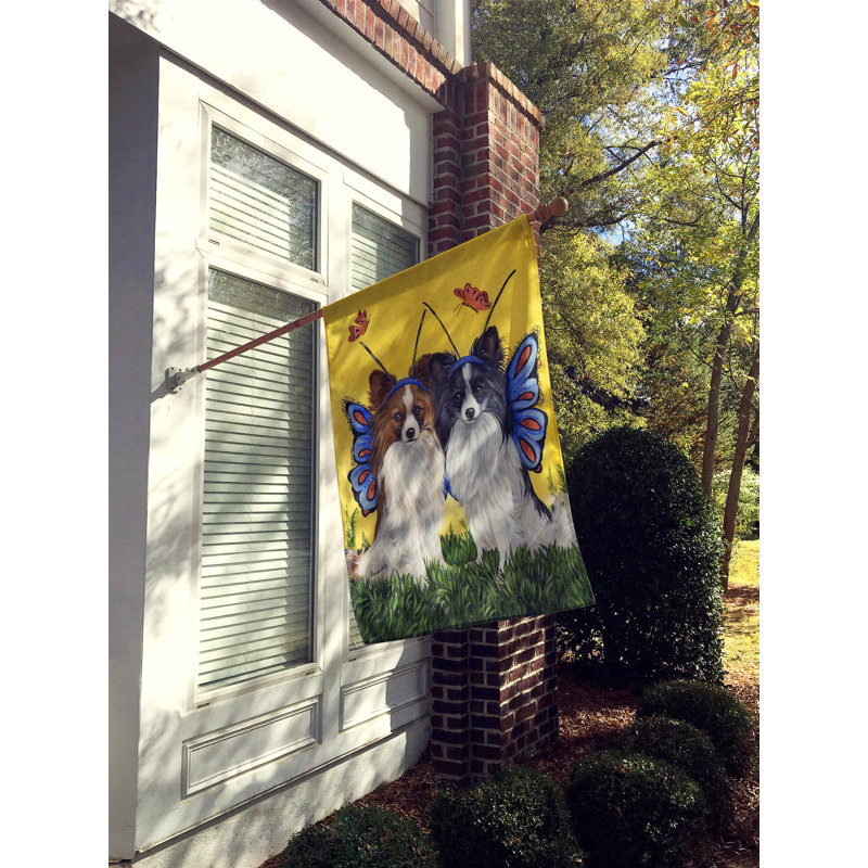 Drapeau de maison Hvidovre Sheltie Halloween en polyester à 2 faces 3 x 2 pi, Papillons