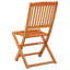 Ensemble de 2 chaises de patio pliantes en bois d'eucalyptus massif