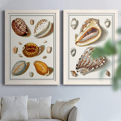 Collection de coquillages III - ensemble de 2 reproductions d'art sur toile