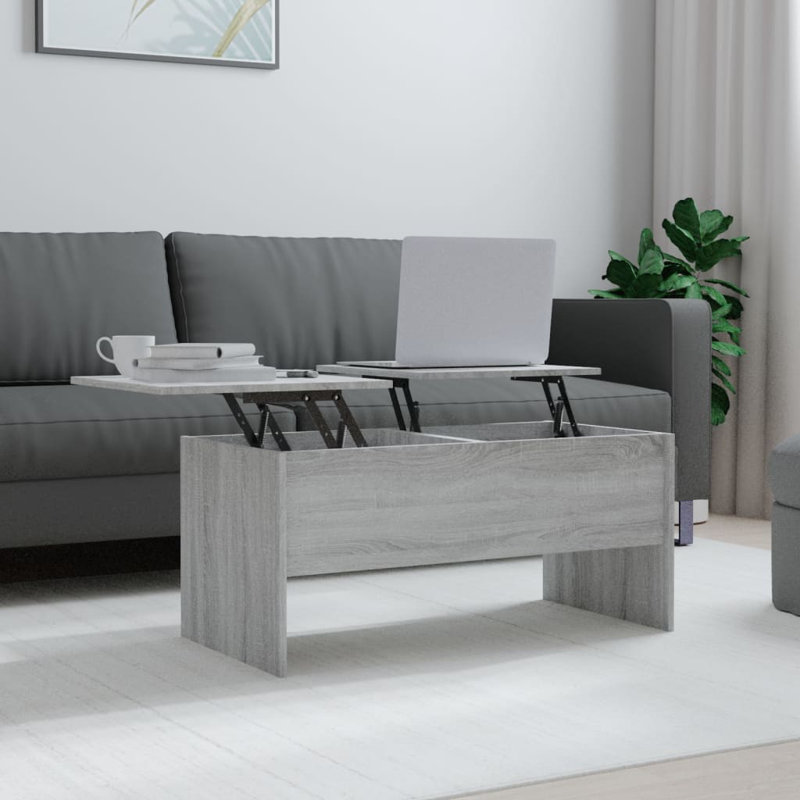 Frame Coffee Table with Storage, Grey