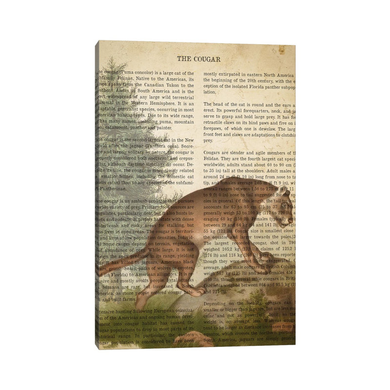 Vintage Cougar Print by Aged Pixel - No Frame Gallery-Wrapped Canvas Giclée on Canvas, 101.6cm H x 66.04cm W