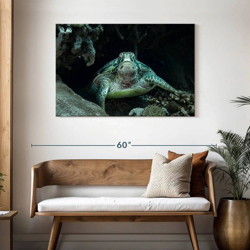 Brampt Bali Green Sea Turtle