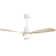 48" Nicola 3 - Blade Modern Ceiling Fan with Remote Control and Light Kit