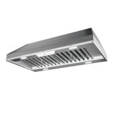 Pro Zephyr 48" 1200 CFM Insert Mount Range Hood with LED Light in Stainless Steel
