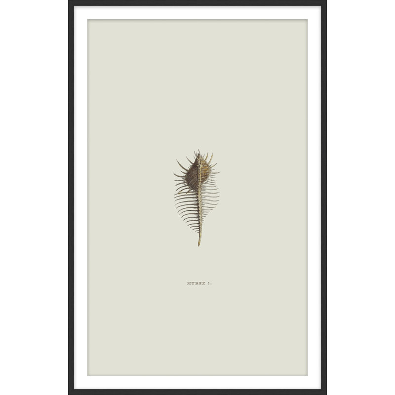 by Studio L57 Nouvelle, 26.54" H x 17.54" W
