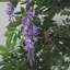 110cm Faux Flowering Tree in Metal Planter-1721796642