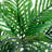 Kentia Palm Artificial Tree in Black Planter