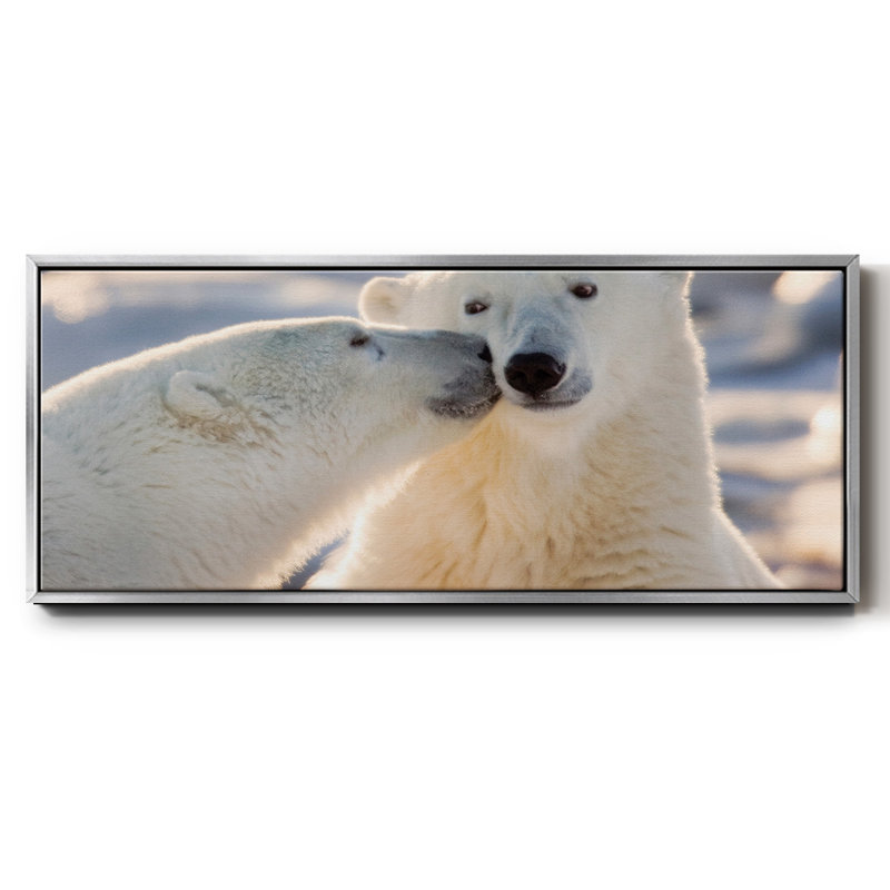 Ours polaire - toile encadrée