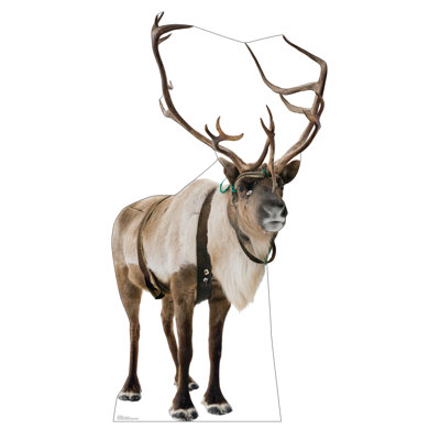 Reindeer