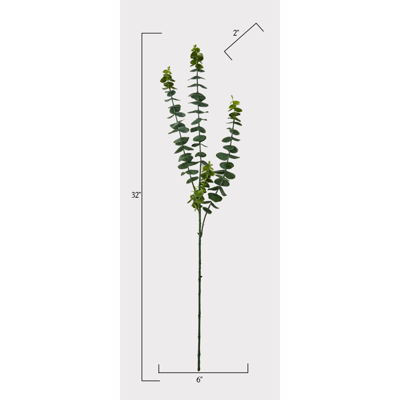 Jet d'eucalyptus