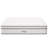 Modway Jenna Innerspring and Foam Mattress-112310288-112310292