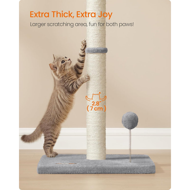 Scratching Post
