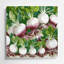 Art mural en métal vert légumes radis Daikon-484654415