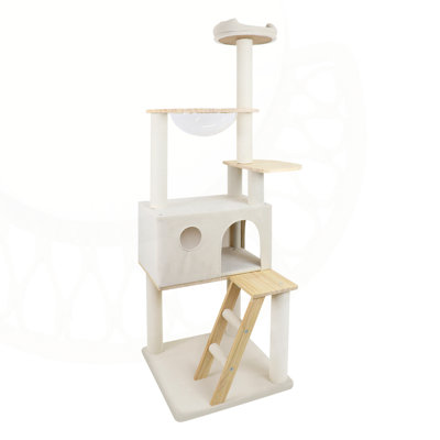 Wood Cat Tree With Large Condo Wood Ladder And Transparent Spacecraft 165Cm
