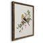Spring Song Pine Grosbeak - cadre photo, impression sur toile-61317182-61317190
