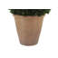 12" Artificial Boxwood Plant in Round Pot-553209785