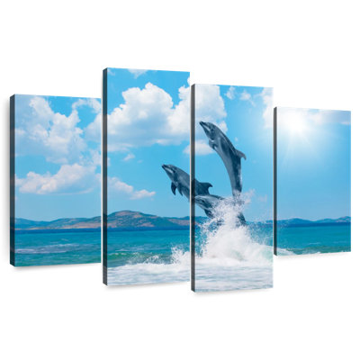 Brampt Dolphin Paradise