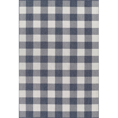 Riko Gingham Indoor / Outdoor Rug
