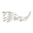 Handmade Coastal Landscape & Nature Wall Decor on Solid Wood