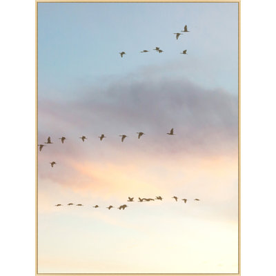 «Sunset Flock 2» par Lillian August, reproduction de photo sur toile