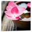 Zen Bowl - reproduction de photo sur toile tendue-21488077-71996519-72009573