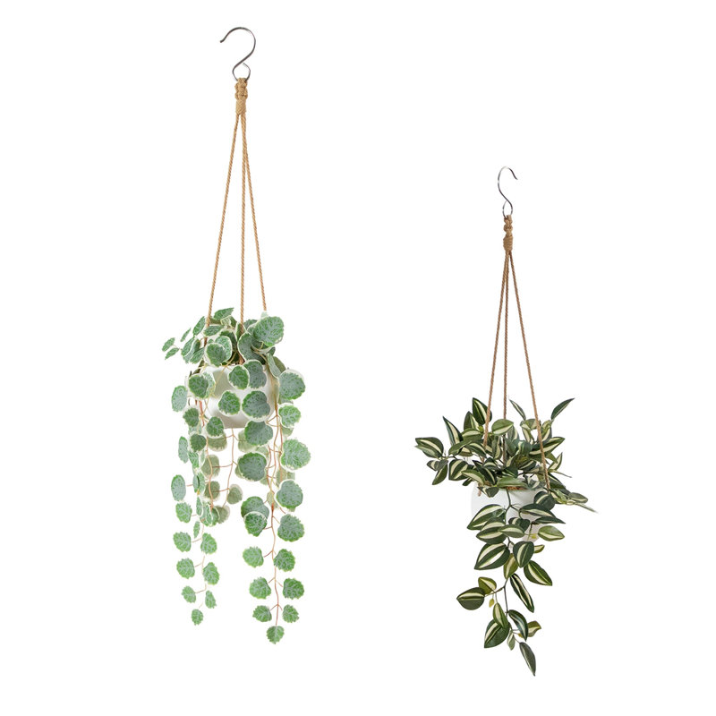Ensemble de 2 plantes à suspendre juives et cordes de cœurs artificielles