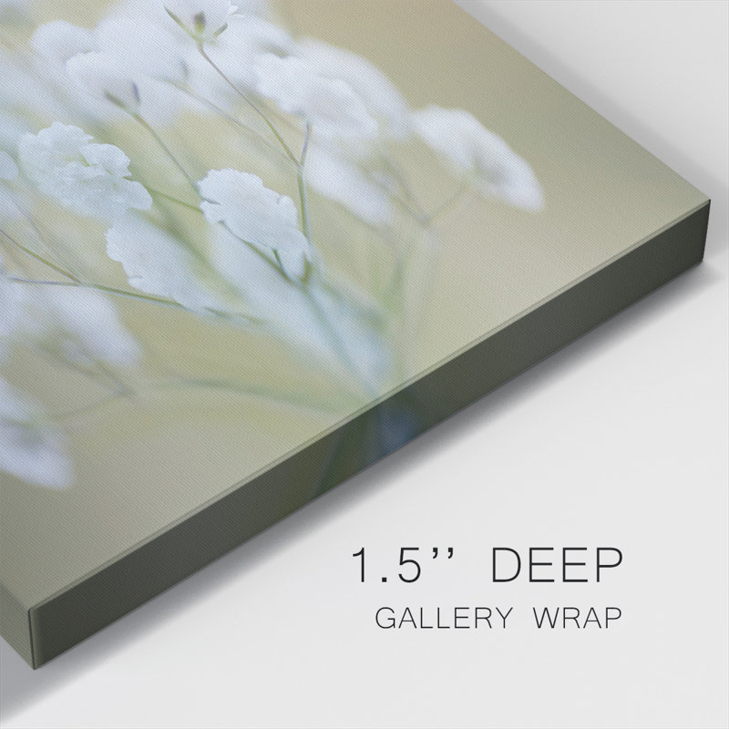 Baby's Breath Study II, H 8 po x l 8 po x P 1,5 po