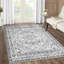 Carjuste Rectangle Oriental Area Rug-1616844248