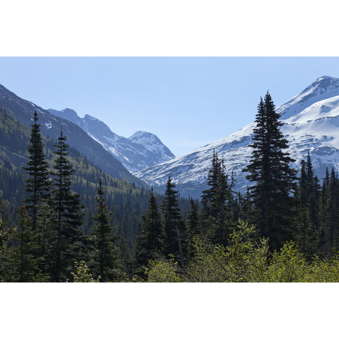 White Pass Mountains von VisionsbyAtlee - Kunstdrucke auf Leinwand ohne Rahmen