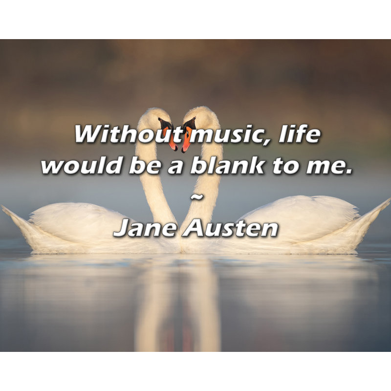 Citation de Jane Austen: Sans musique, la vie serait un vide pour moi.