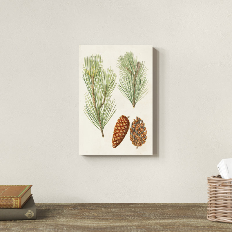 " Antique Pine Cones I ", 12" H x 8" W