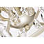 Lustre orbe en cristal 5 lumières l 18,9 po Quon-1915049974