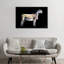 « ted, noir, arrière-plan », impression sur toile-31840798-73206390-73206391