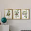 Oiseau antique, botanique et œuf I - ensemble de 3 peintures sur toile encadrées-1128397847-1128397846