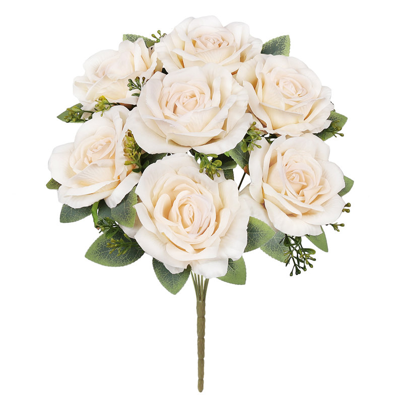Doux rosier, Ivory