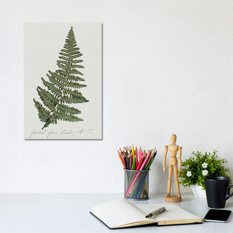 Fern Fernandes II par Carol Robinson, impression sur toile tendue, H 18 po x l 12 po x P 1,5 po