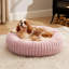 Lit pour chien Bedsut Donut-132755073-132755079