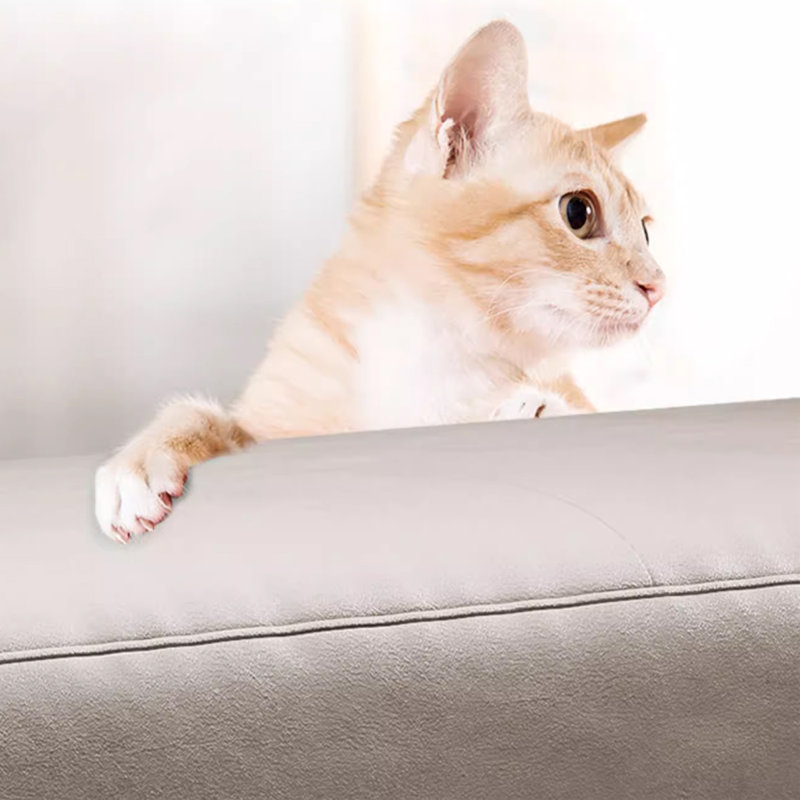 Banc rembourré, Beige / kaki