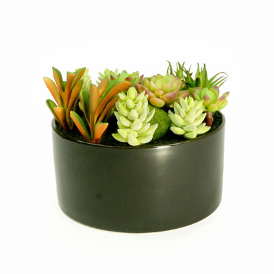 9.5'' Faux Moss Succulent in Ceramic Planter